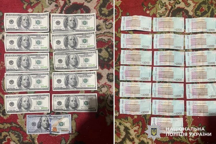 Крадіжка на Хмельниччині: доглядальниця викрала понад 100 тисяч гривень