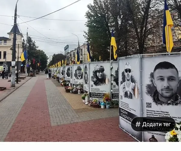 Каштани на Проскурівській: правда про зрізані дерева в Хмельницькому
