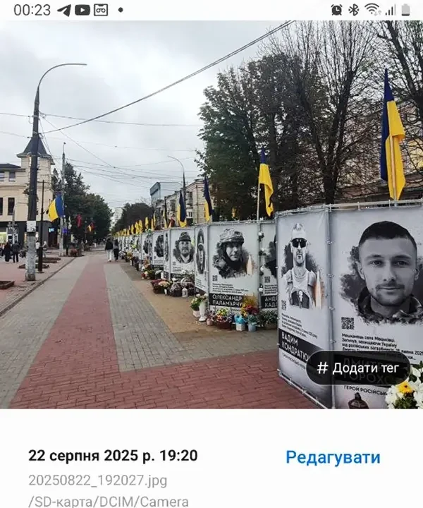 Каштани на Проскурівській: правда про зрізані дерева в Хмельницькому